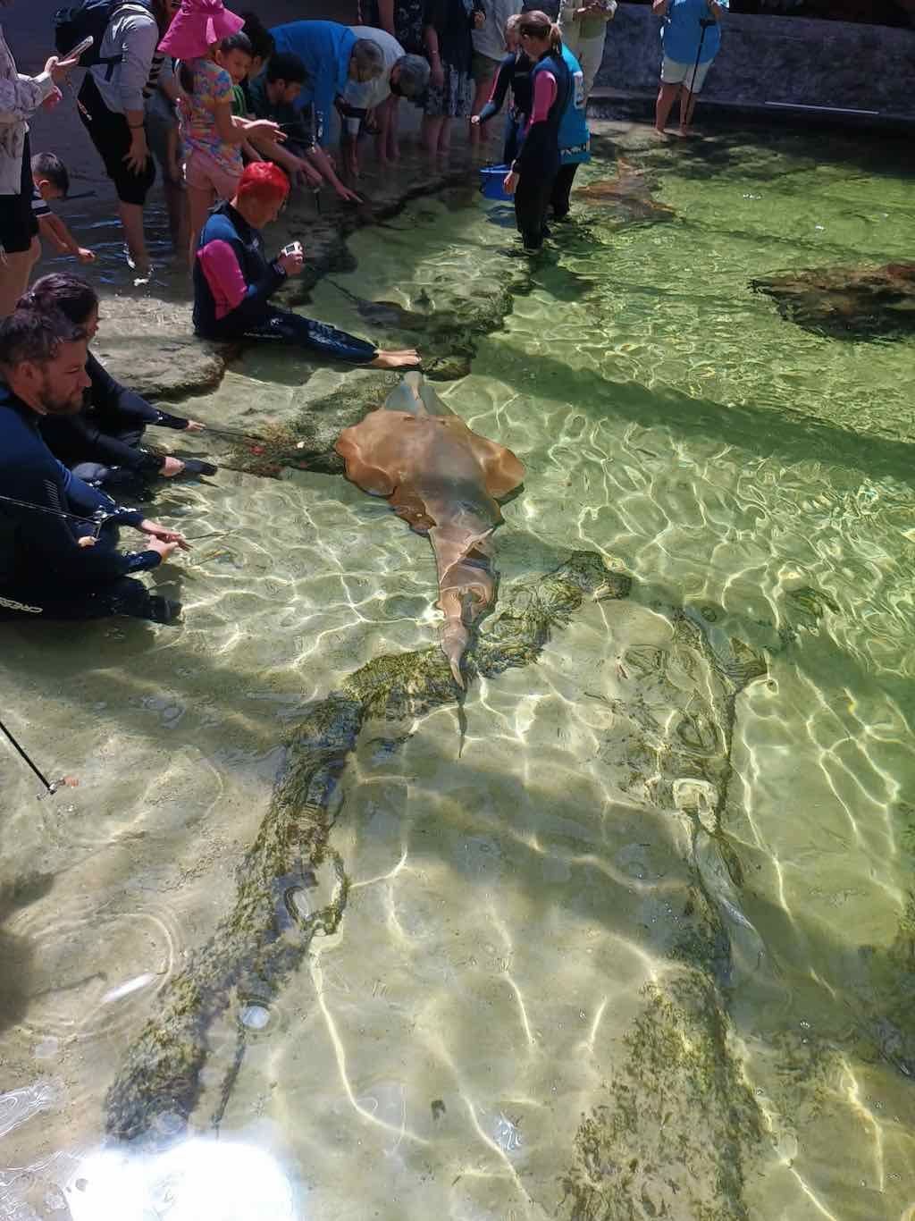 12th November PDT Irukandji + Cookabarra Barramundi Farm Image -6914eba248a2e