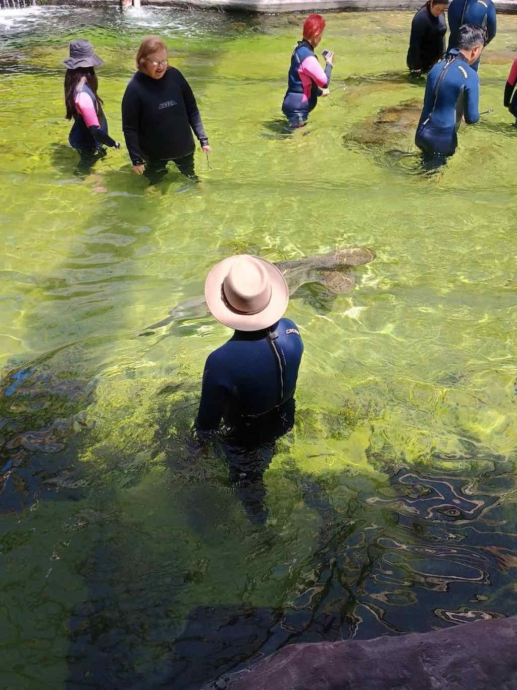 12th November PDT Irukandji + Cookabarra Barramundi Farm Image -6914eba2da14a