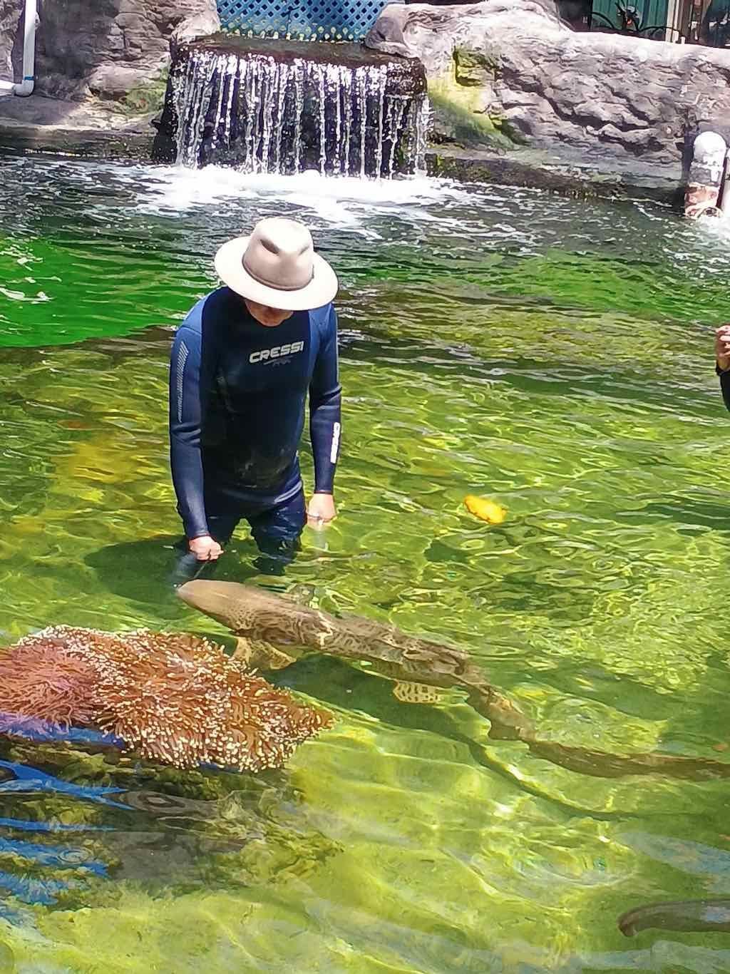 12th November PDT Irukandji + Cookabarra Barramundi Farm Image -6914eba43f6aa