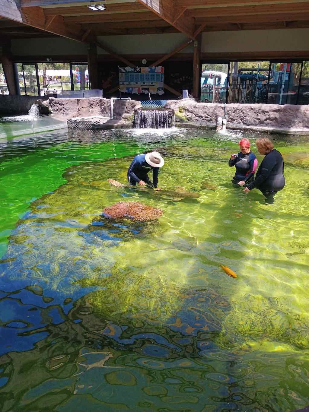 12th November PDT Irukandji + Cookabarra Barramundi Farm Image -6914eba48ea11