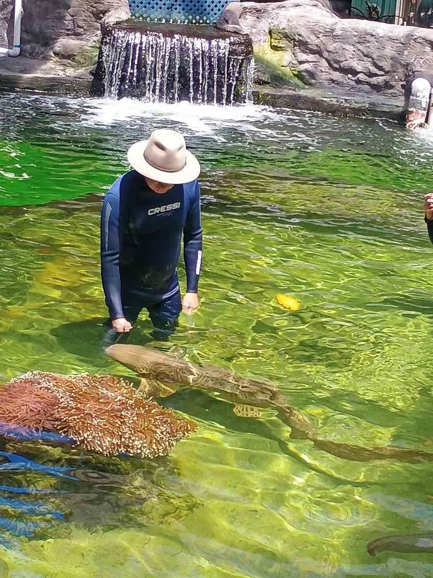 12th November PDT Irukandji + Cookabarra Barramundi Farm Image -6914eba606534