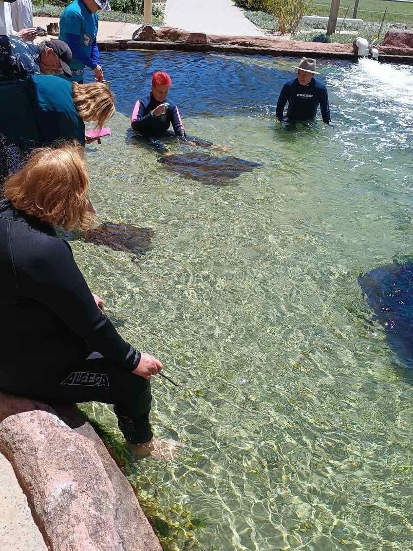 12th November PDT Irukandji + Cookabarra Barramundi Farm Image -6914eba716207