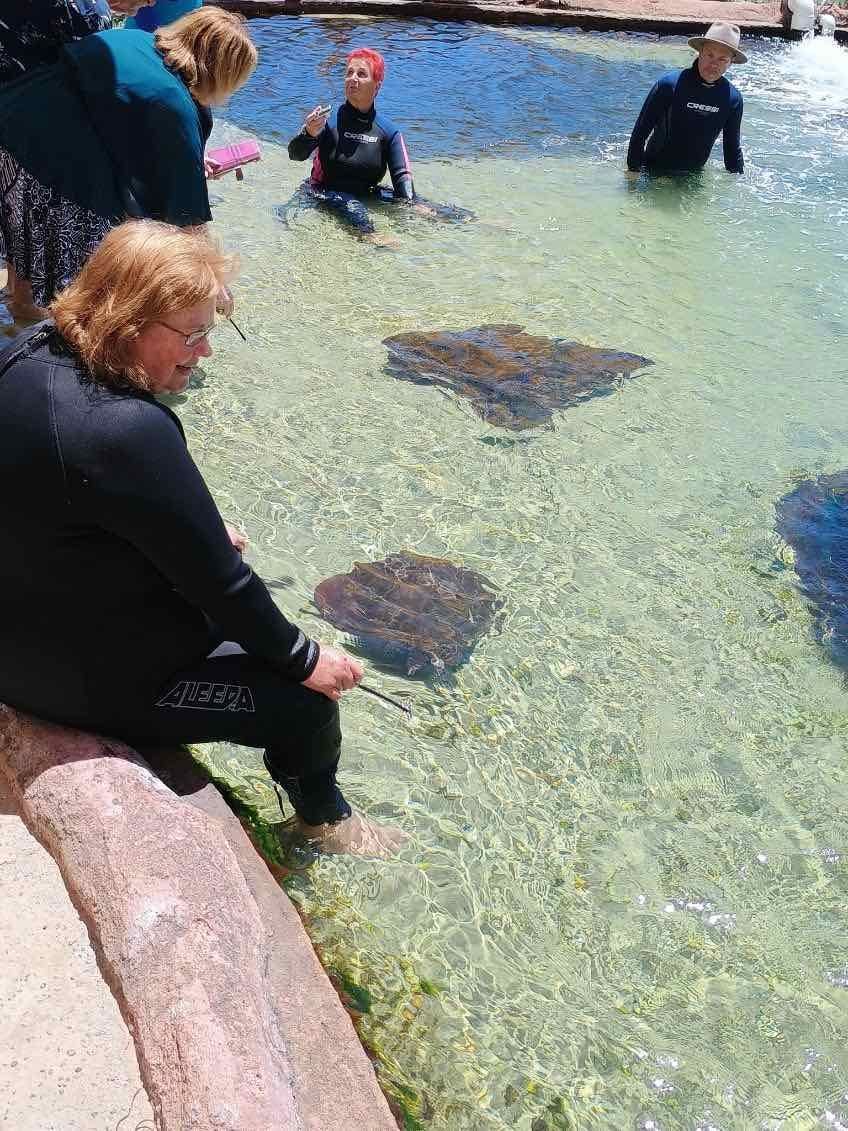 12th November PDT Irukandji + Cookabarra Barramundi Farm Image -6914eba763cde