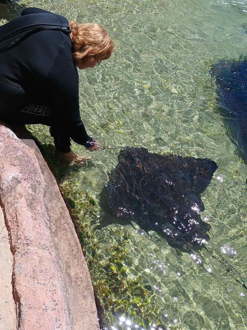 12th November PDT Irukandji + Cookabarra Barramundi Farm Image -6914eba7a789c