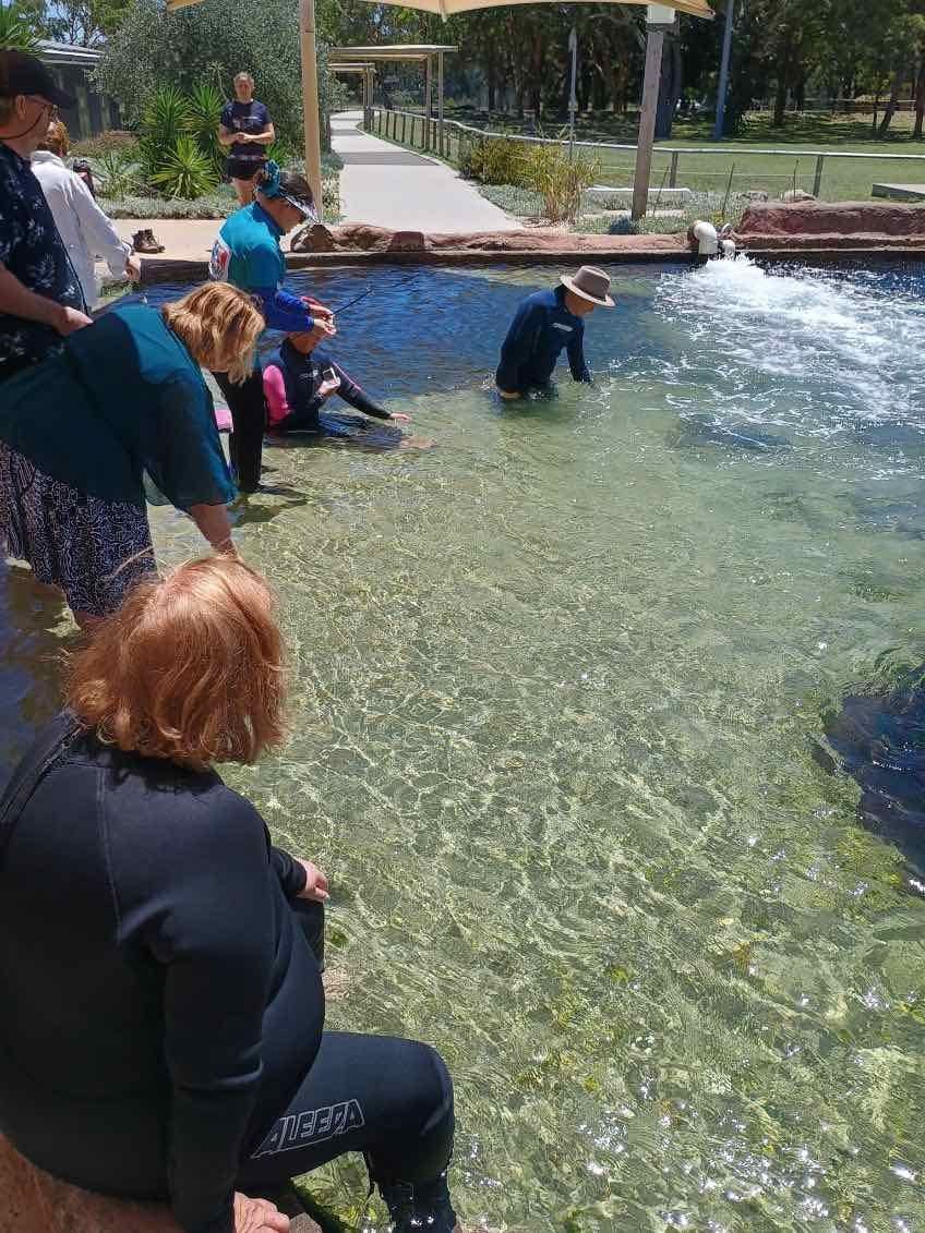 12th November PDT Irukandji + Cookabarra Barramundi Farm Image -6914eba83674d