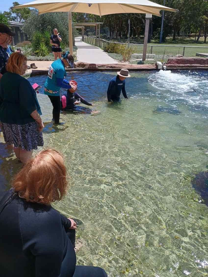 12th November PDT Irukandji + Cookabarra Barramundi Farm Image -6914eba87aa5b