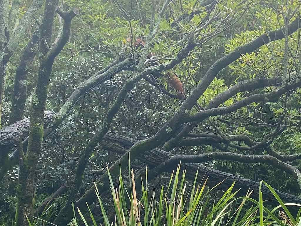 Wollongong Explorer March 2026 Image -69b4d274788af