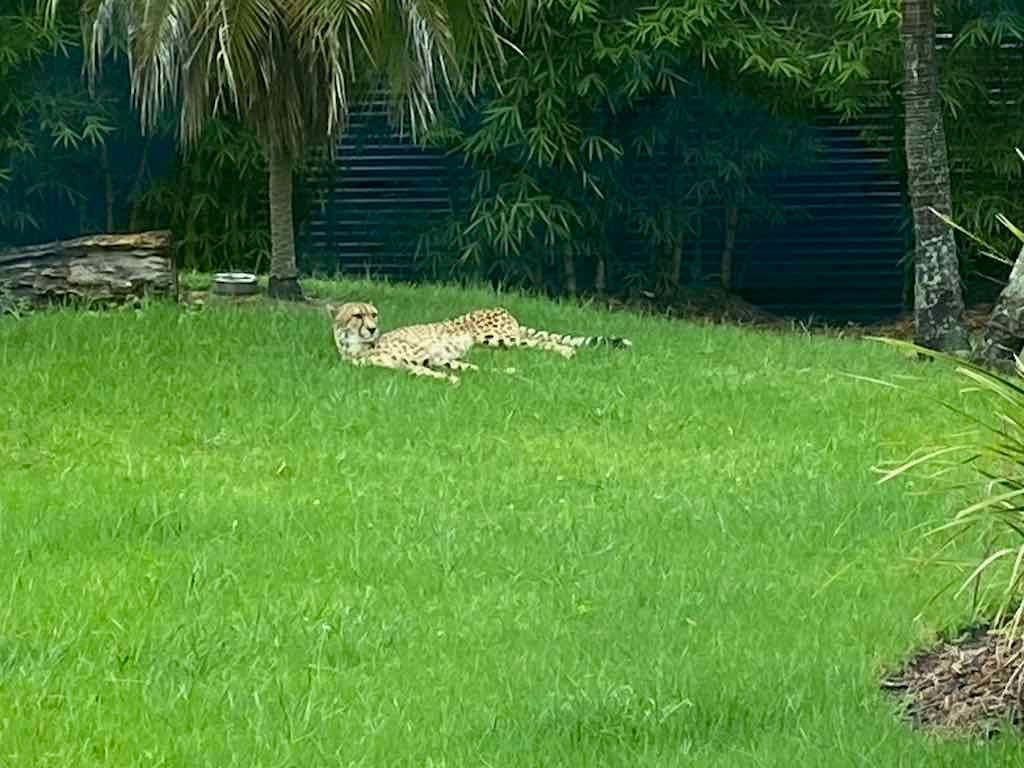 Wollongong Explorer March 2026 Image -69b4d2864118b