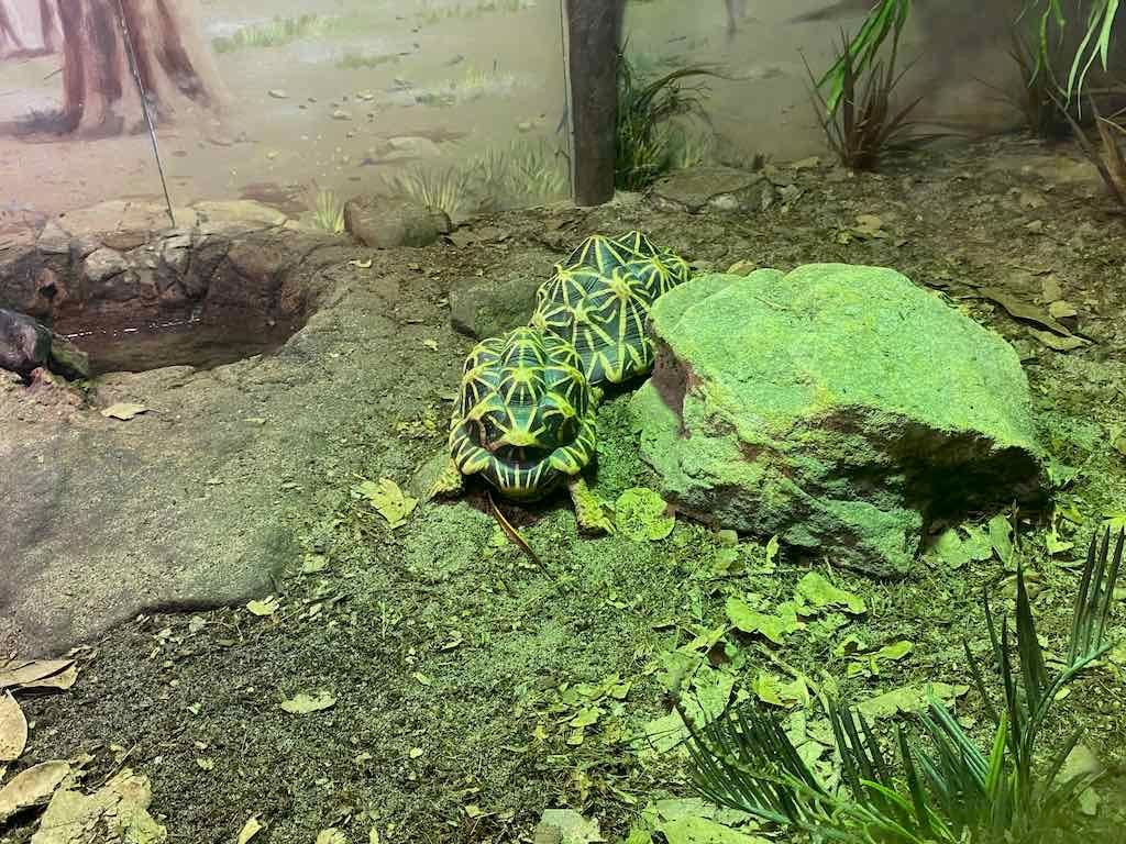 Wollongong Explorer March 2026 Image -69b4d2873f073