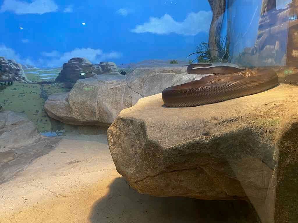 Wollongong Explorer March 2026 Image -69b4d287792c0