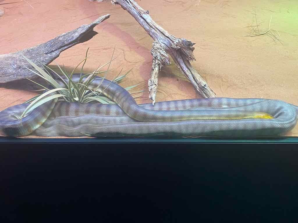 Wollongong Explorer March 2026 Image -69b4d287b0b37