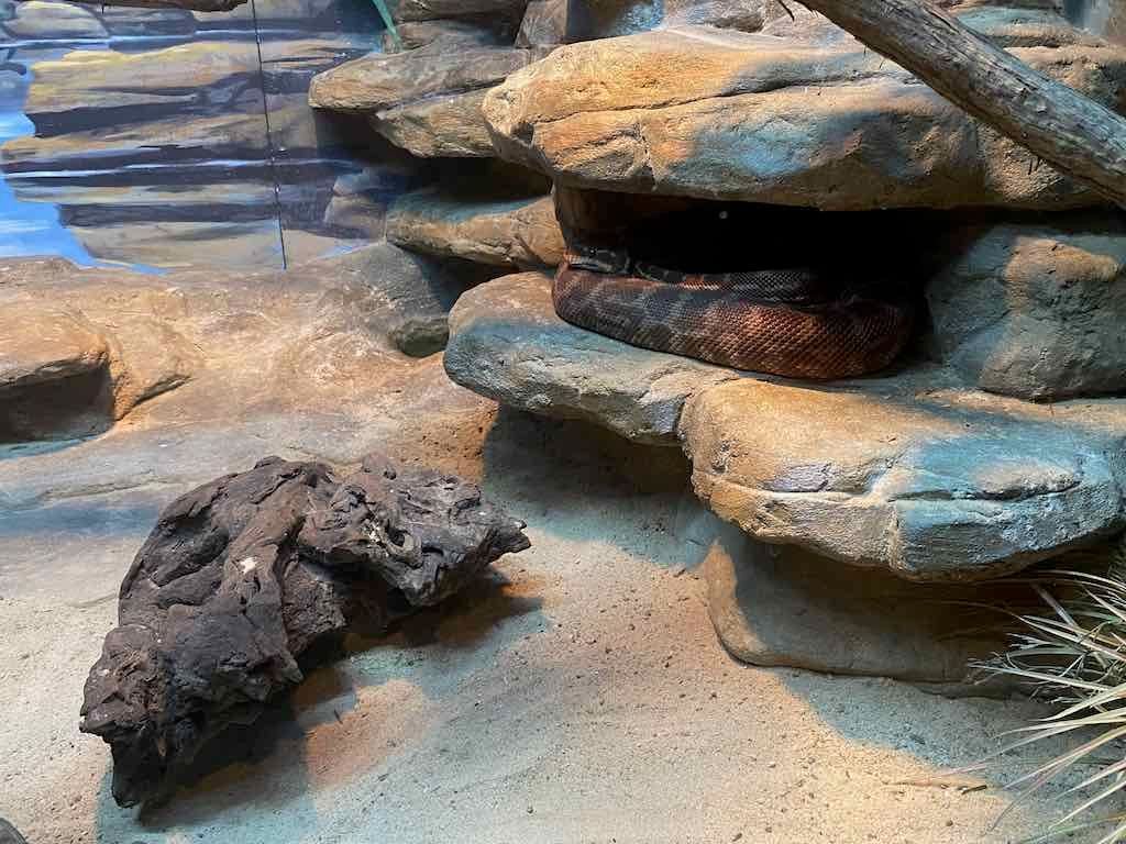 Wollongong Explorer March 2026 Image -69b4d2883ad65