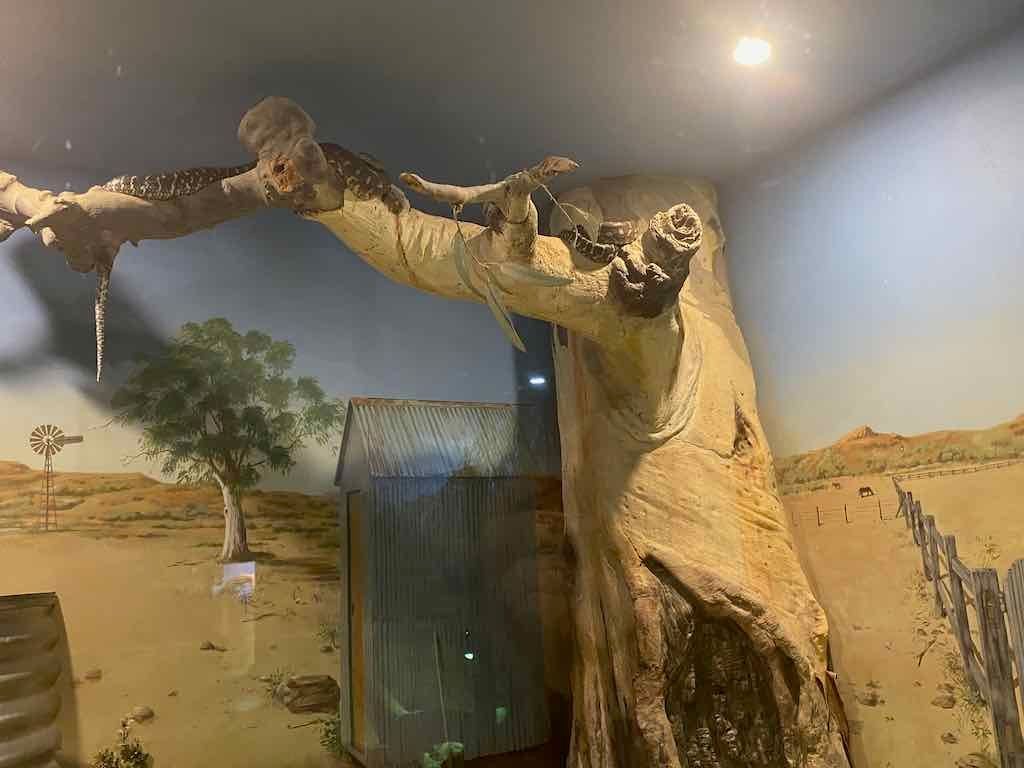 Wollongong Explorer March 2026 Image -69b4d28877211