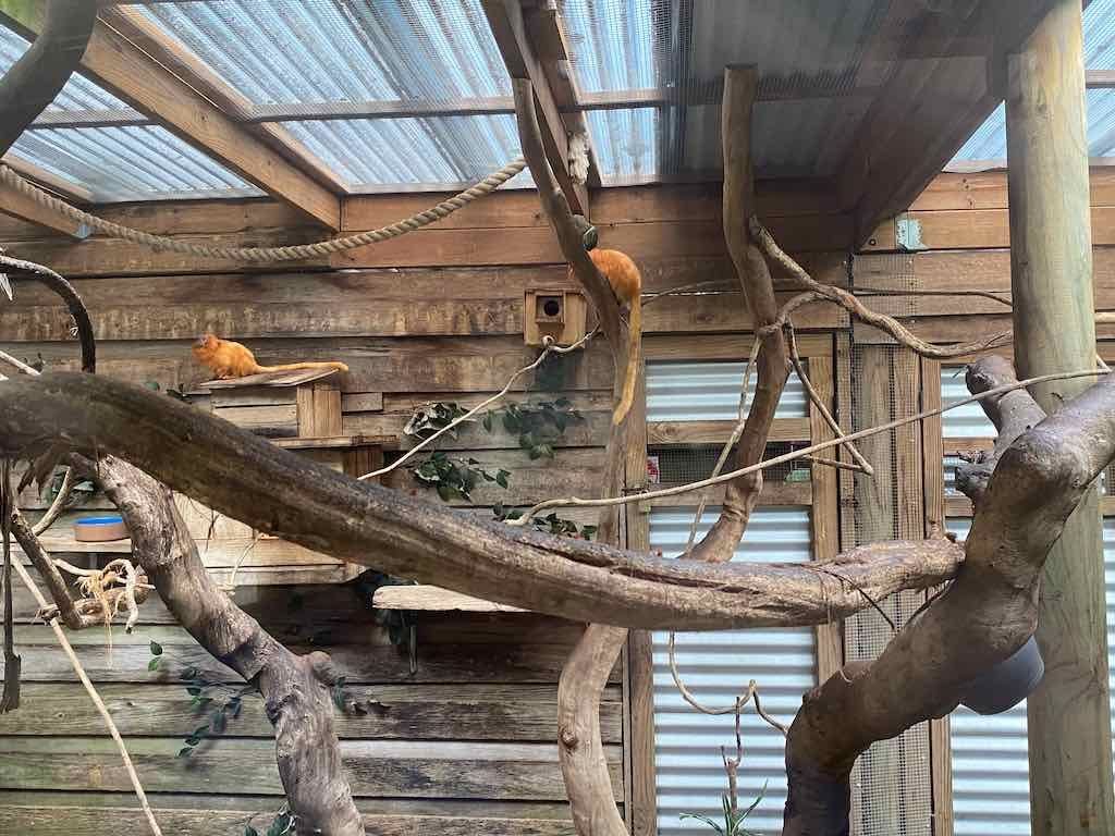 Wollongong Explorer March 2026 Image -69b4d288e6e33