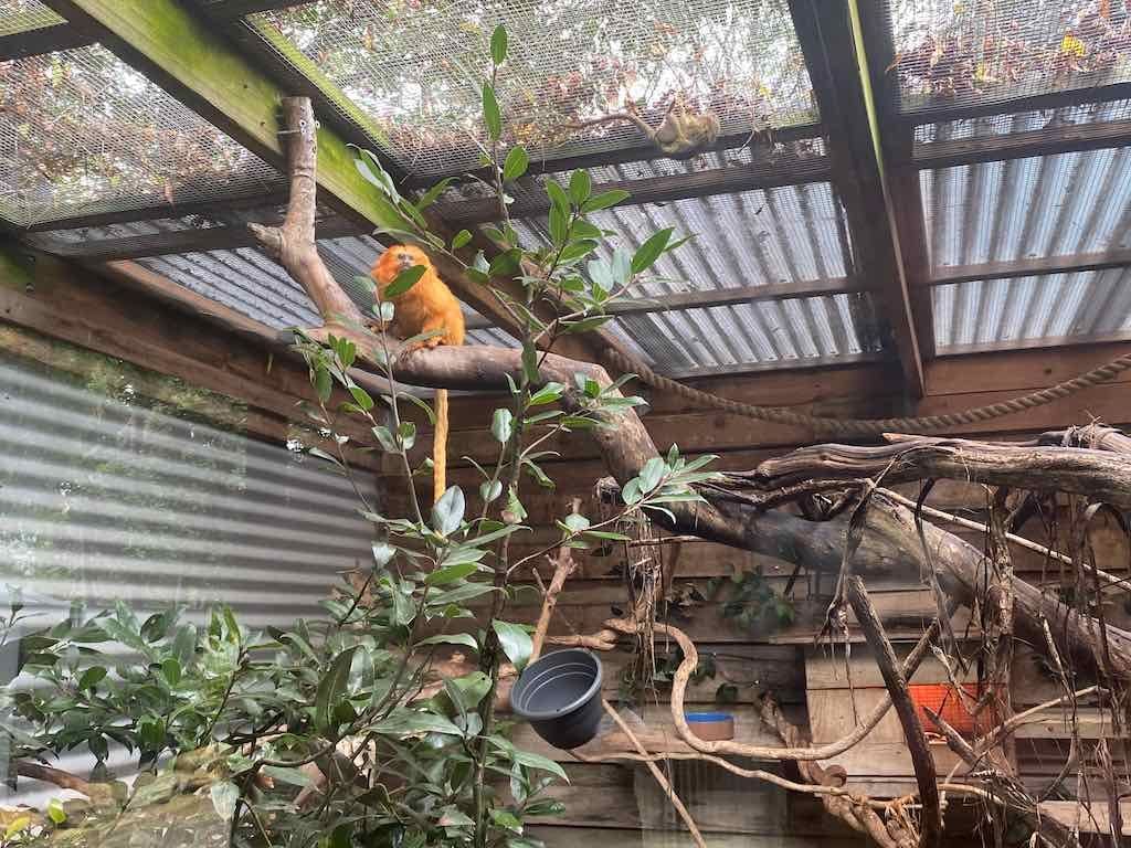 Wollongong Explorer March 2026 Image -69b4d28937e7f