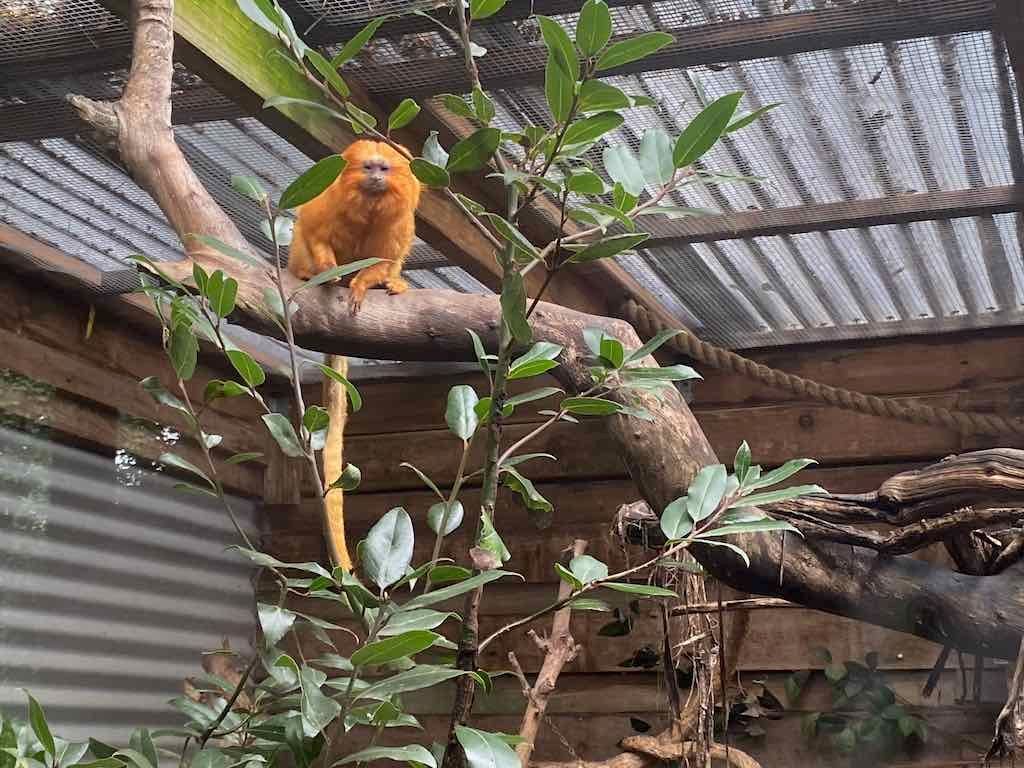 Wollongong Explorer March 2026 Image -69b4d2897dee8