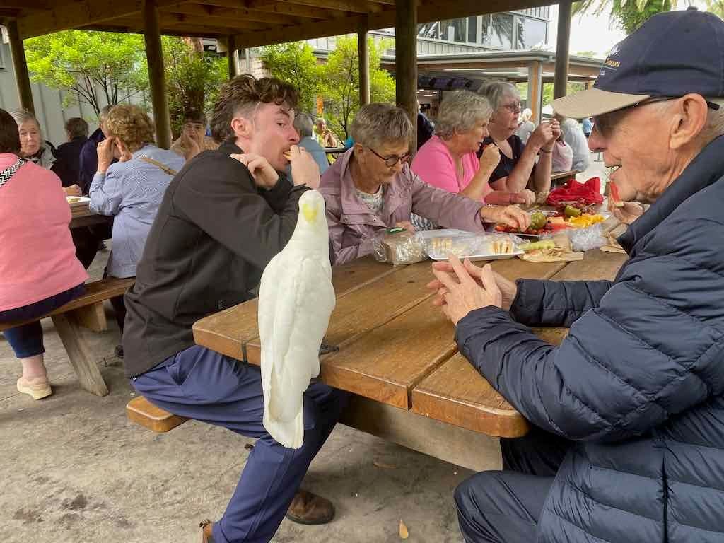 Wollongong Explorer March 2026 Image -69b4d2b15d596