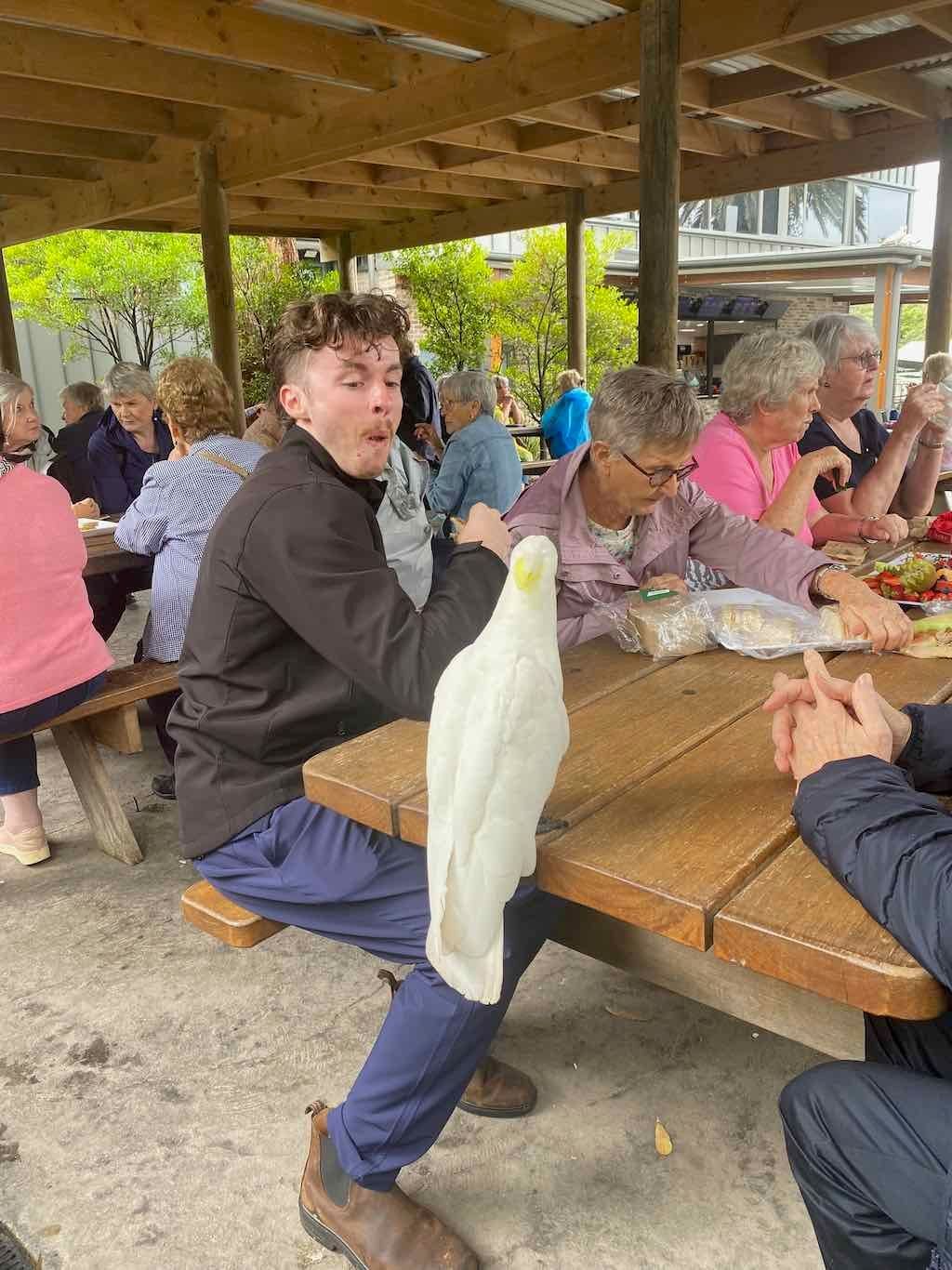 Wollongong Explorer March 2026 Image -69b4d2b1a064f