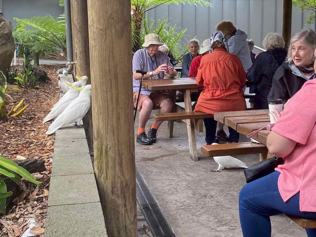 Wollongong Explorer March 2026 Image -69b4d2b26ac80