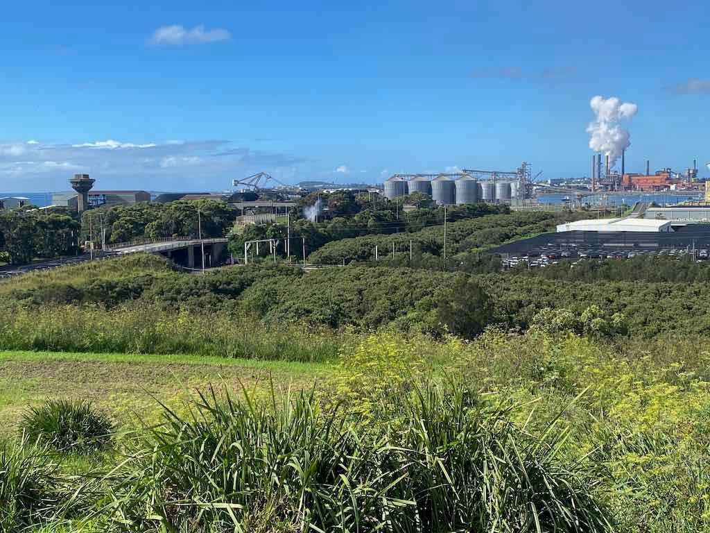 Wollongong Explorer March 2026 Image -69b4d2b8b56cb