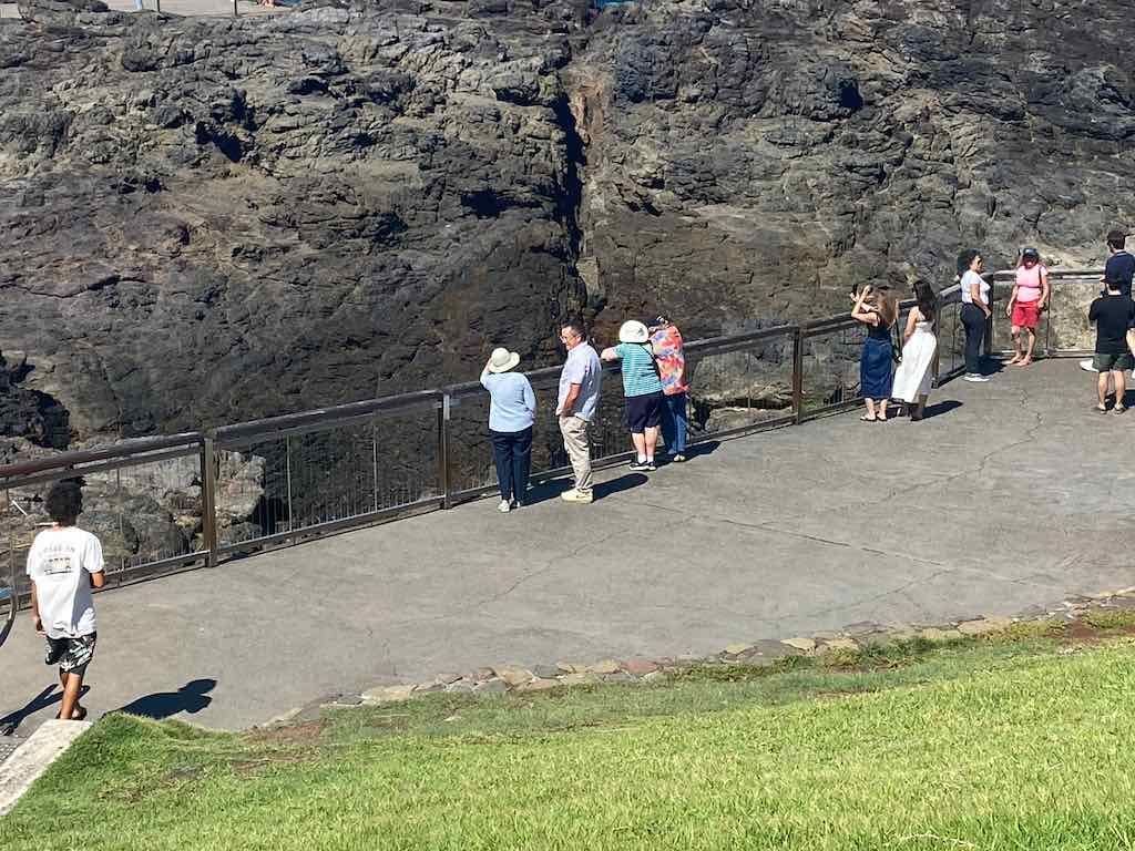 Wollongong Explorer March 2026 Image -69b4d2c5caba2