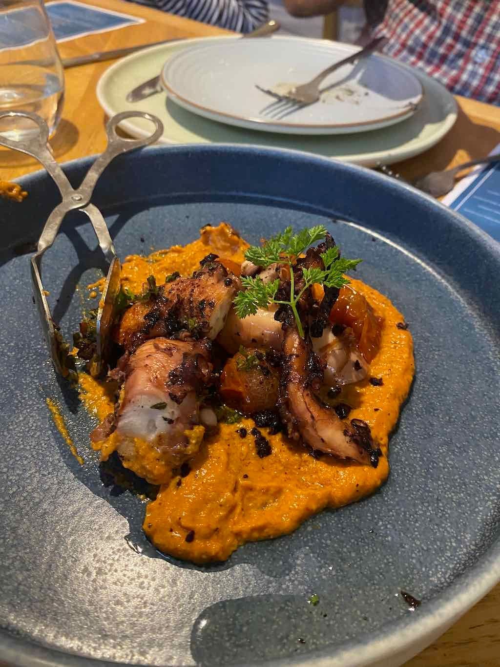 Wollongong Explorer March 2026 Image -69b4d2c925718