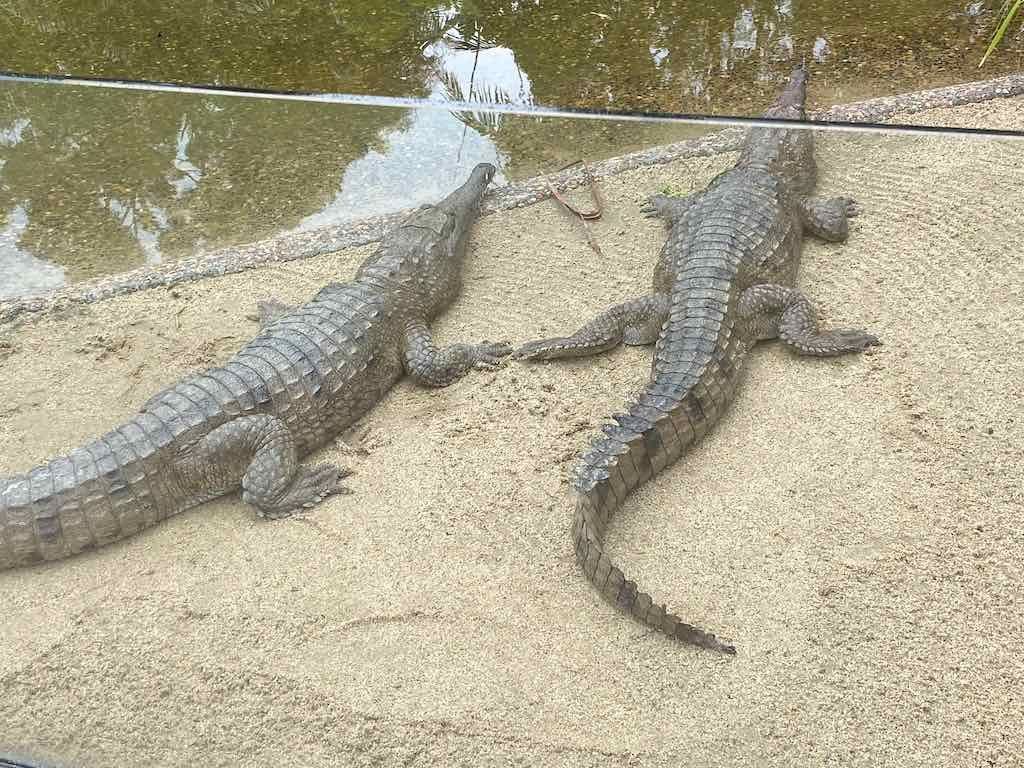 Wollongong Explorer March 2026 Image -69b4d30d78898