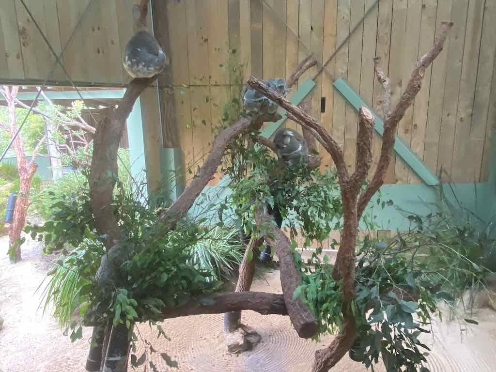 Wollongong Explorer March 2026 Image -69b4d30db4a2a