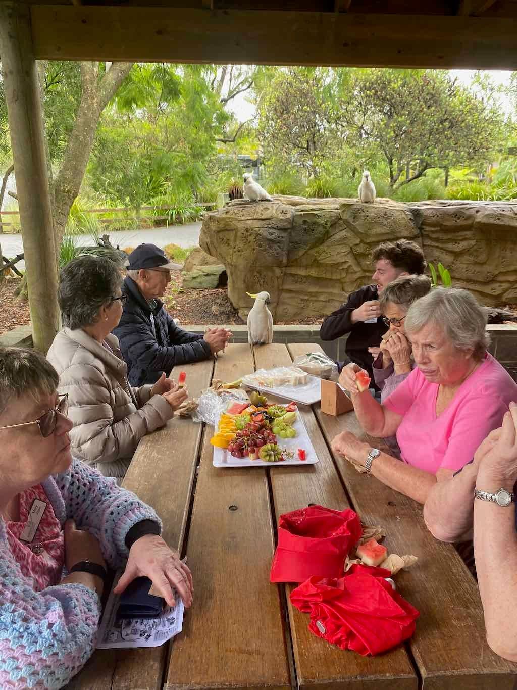 Wollongong Explorer March 2026 Image -69b4d30fb27c5