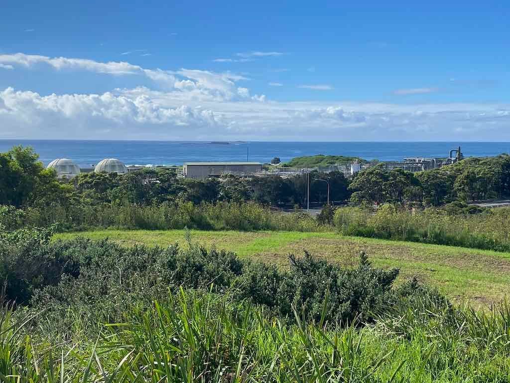 Wollongong Explorer March 2026 Image -69b4d3151b859