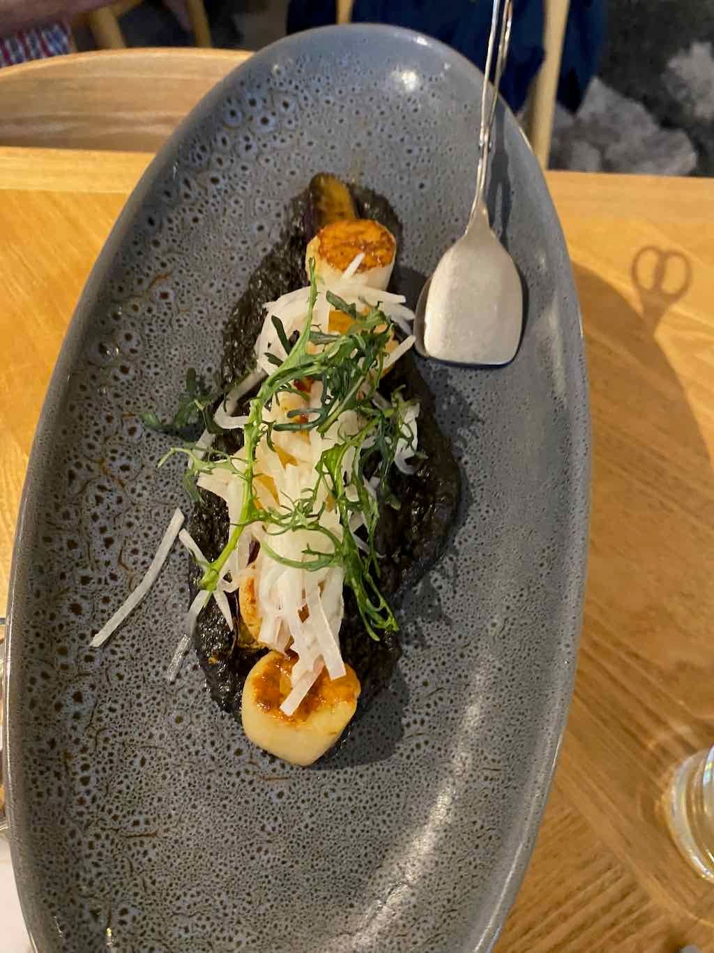 Wollongong Explorer March 2026 Image -69b4d3253fcc7