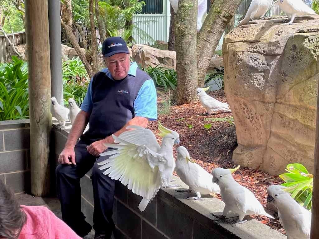 Wollongong Explorer March 2026 Image -69b4d358c0095