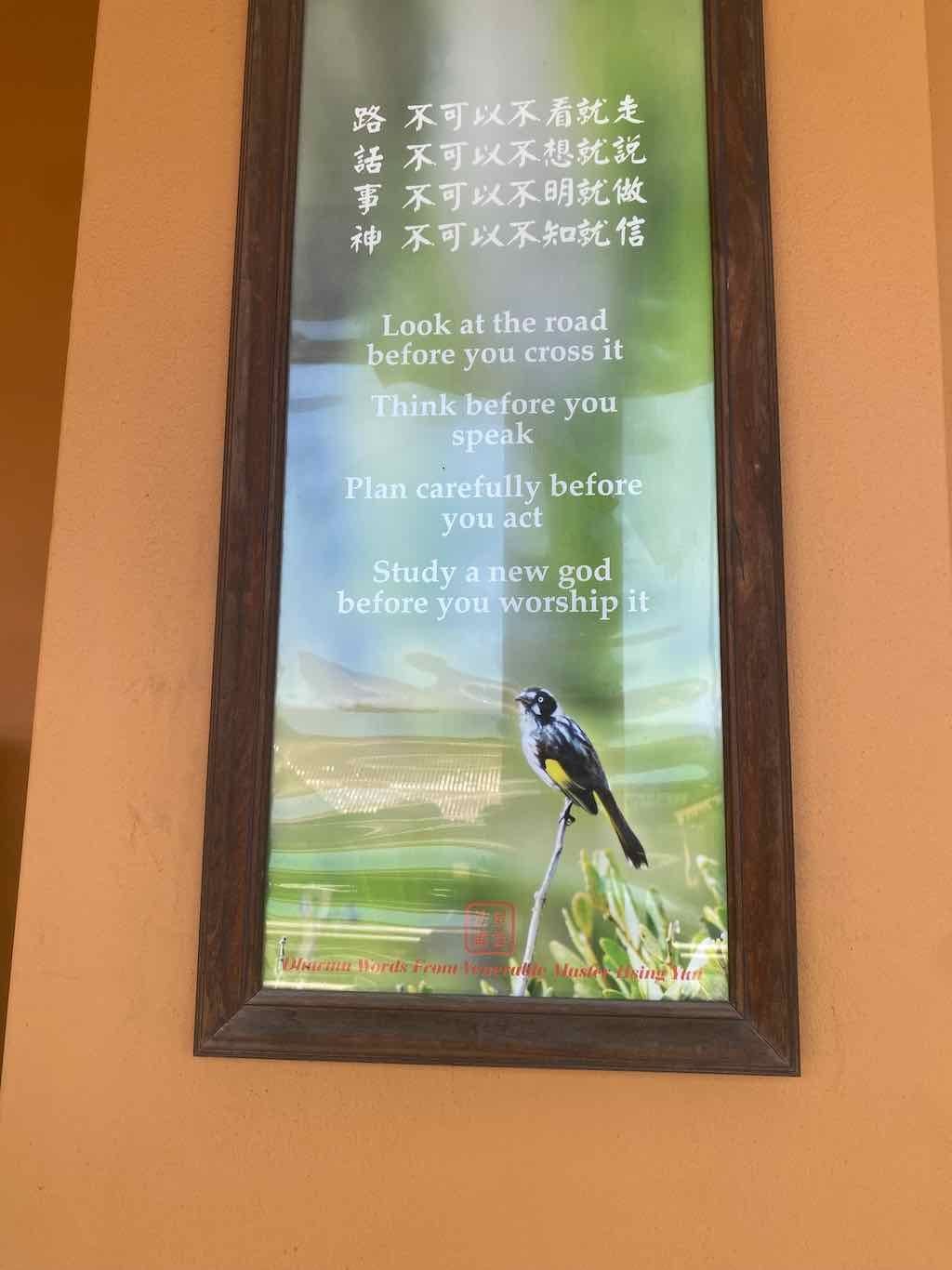 Wollongong Explorer March 2026 Image -69b4d3afd96b9