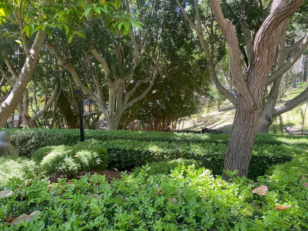 Wollongong Explorer March 2026 Image -69b4d3b02c873