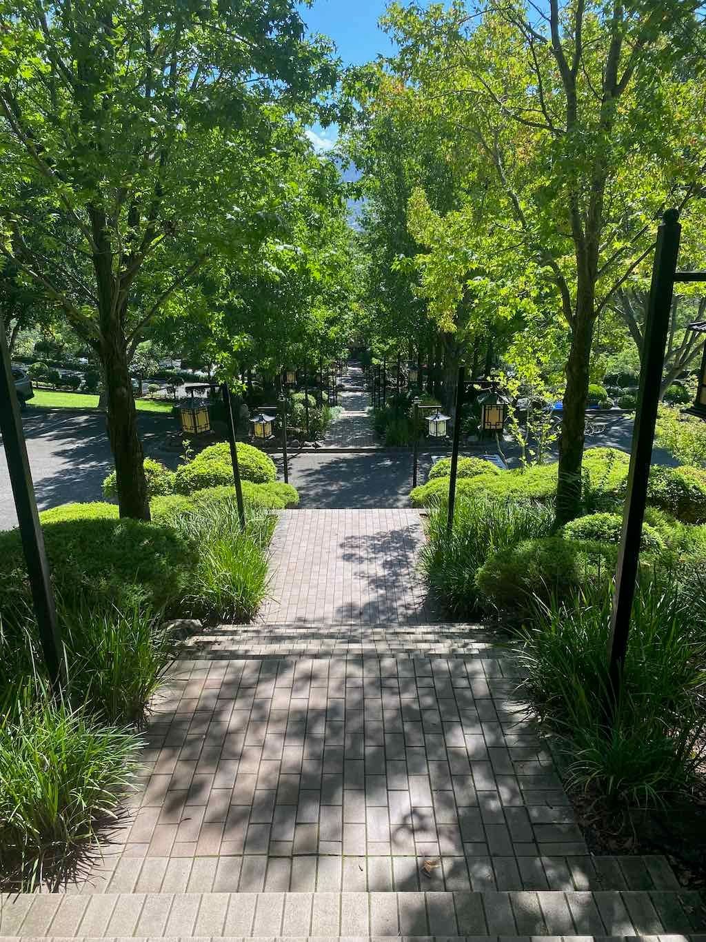 Wollongong Explorer March 2026 Image -69b4d3b4142c9