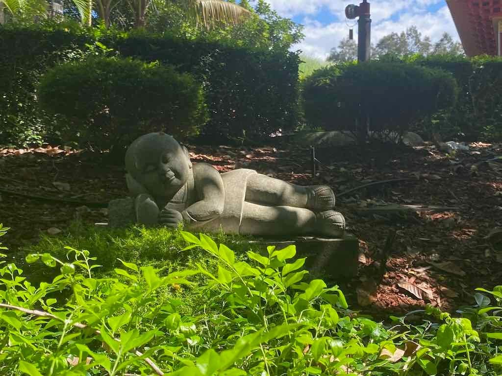 Wollongong Explorer March 2026 Image -69b4d3b5a8246