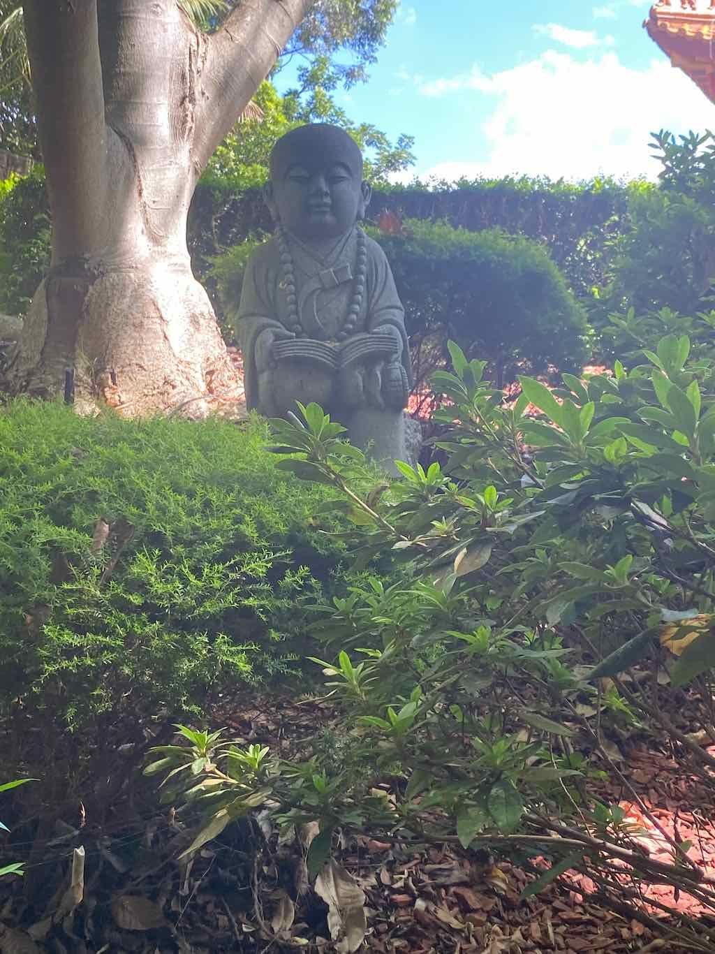 Wollongong Explorer March 2026 Image -69b4d3b5ecb19