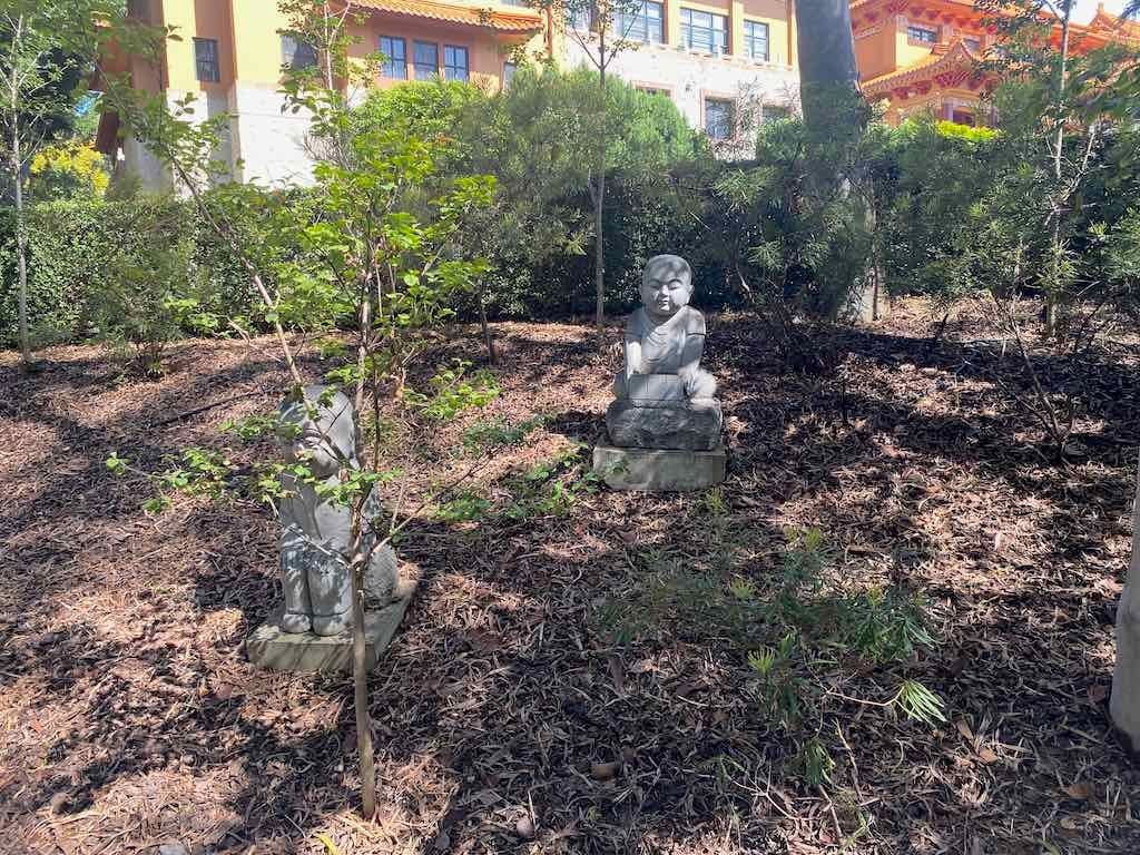 Wollongong Explorer March 2026 Image -69b4d3b8dc58b