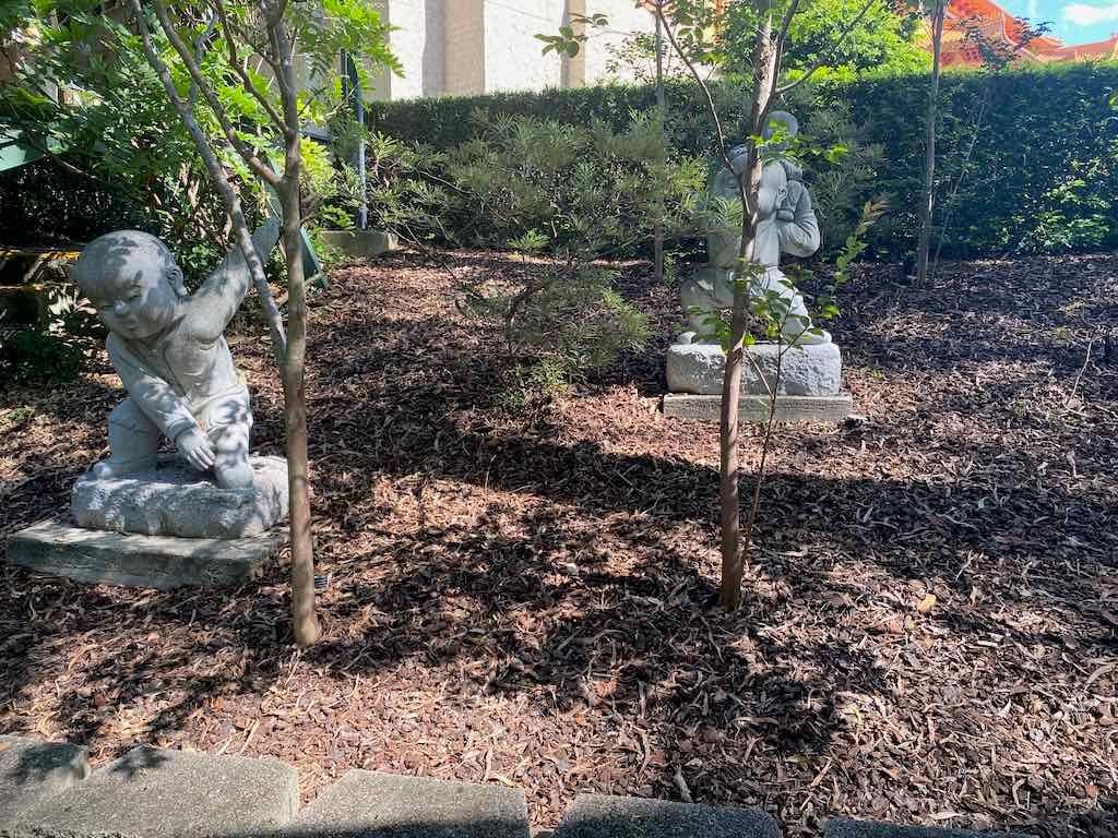 Wollongong Explorer March 2026 Image -69b4d3b9a0584