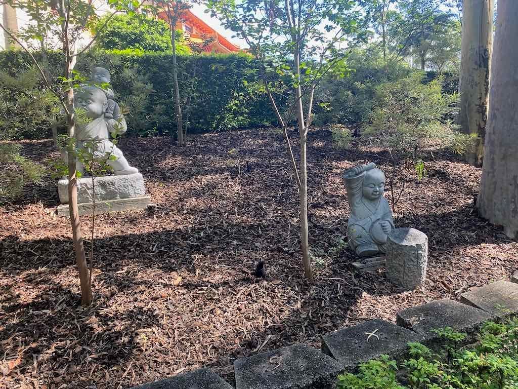 Wollongong Explorer March 2026 Image -69b4d3b9e941a