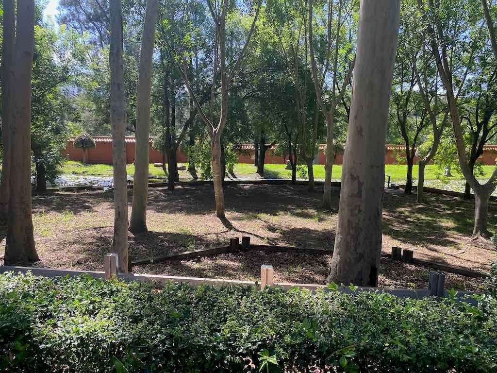 Wollongong Explorer March 2026 Image -69b4d3bab8655