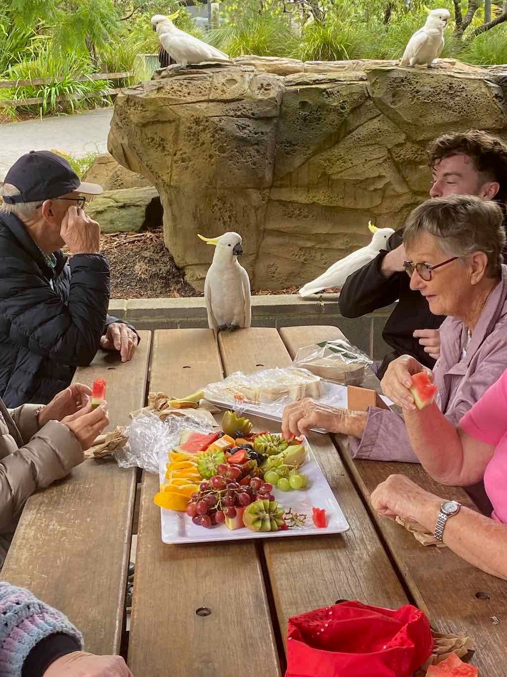 Wollongong Explorer March 2026 Image -69b4d446b5558