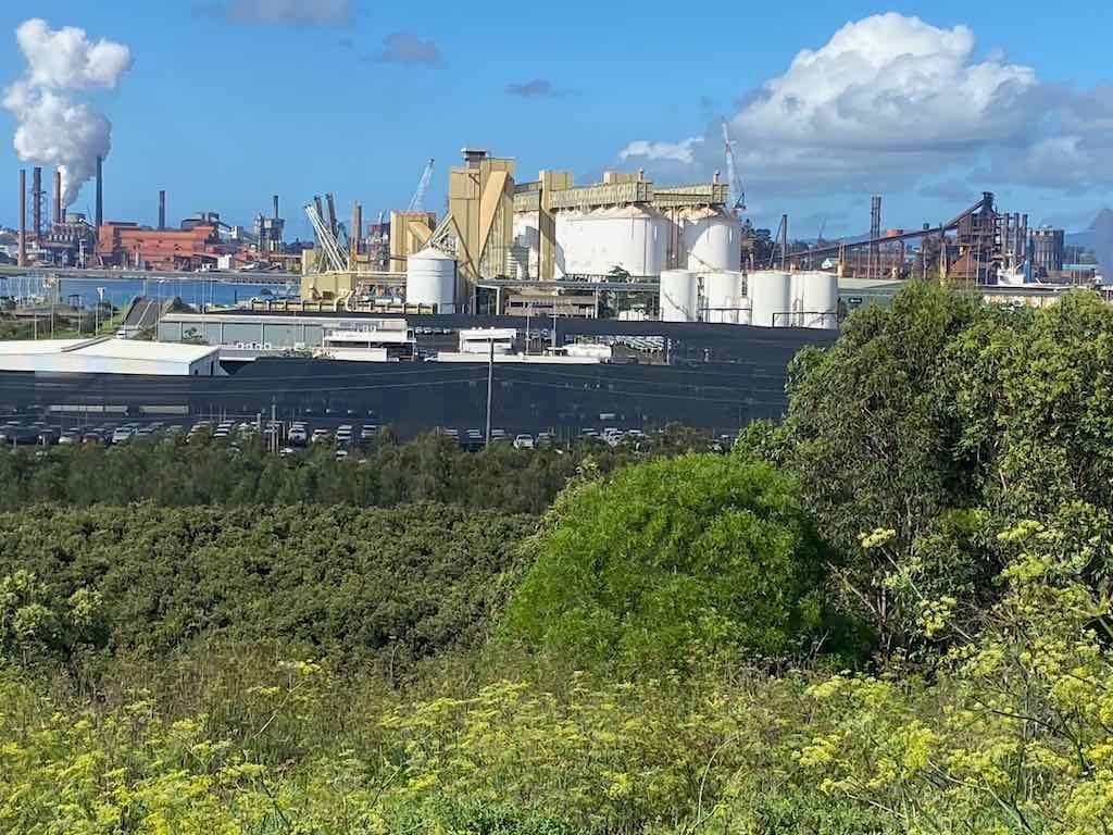 Wollongong Explorer March 2026 Image -69b4d44b82d58