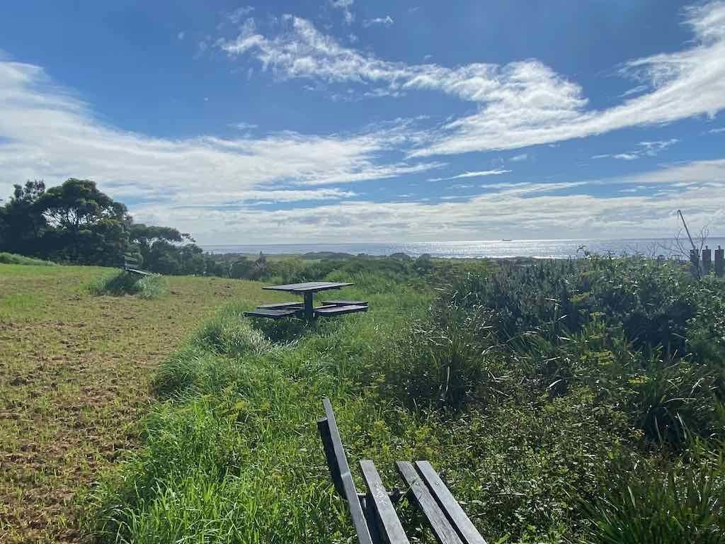 Wollongong Explorer March 2026 Image -69b4d44c75c5d