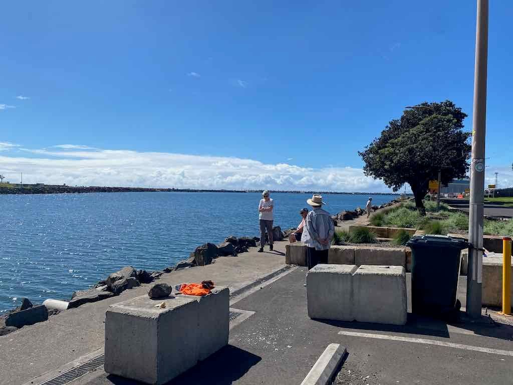 Wollongong Explorer March 2026 Image -69b4d4504496a