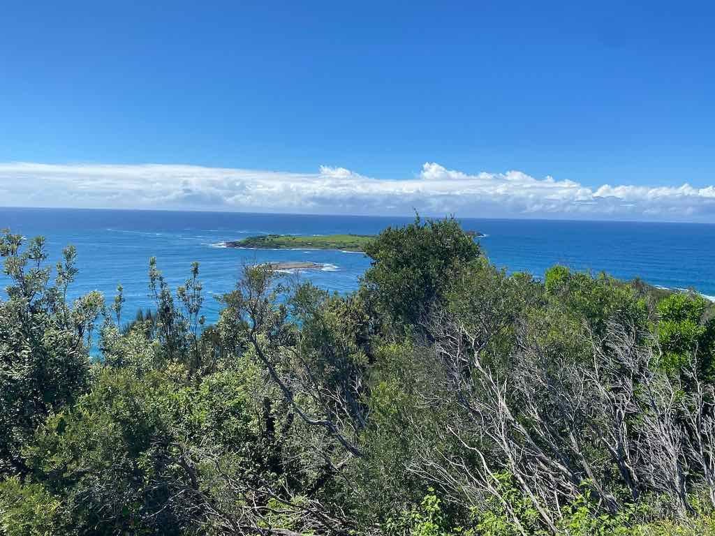 Wollongong Explorer March 2026 Image -69b4d4581bb21