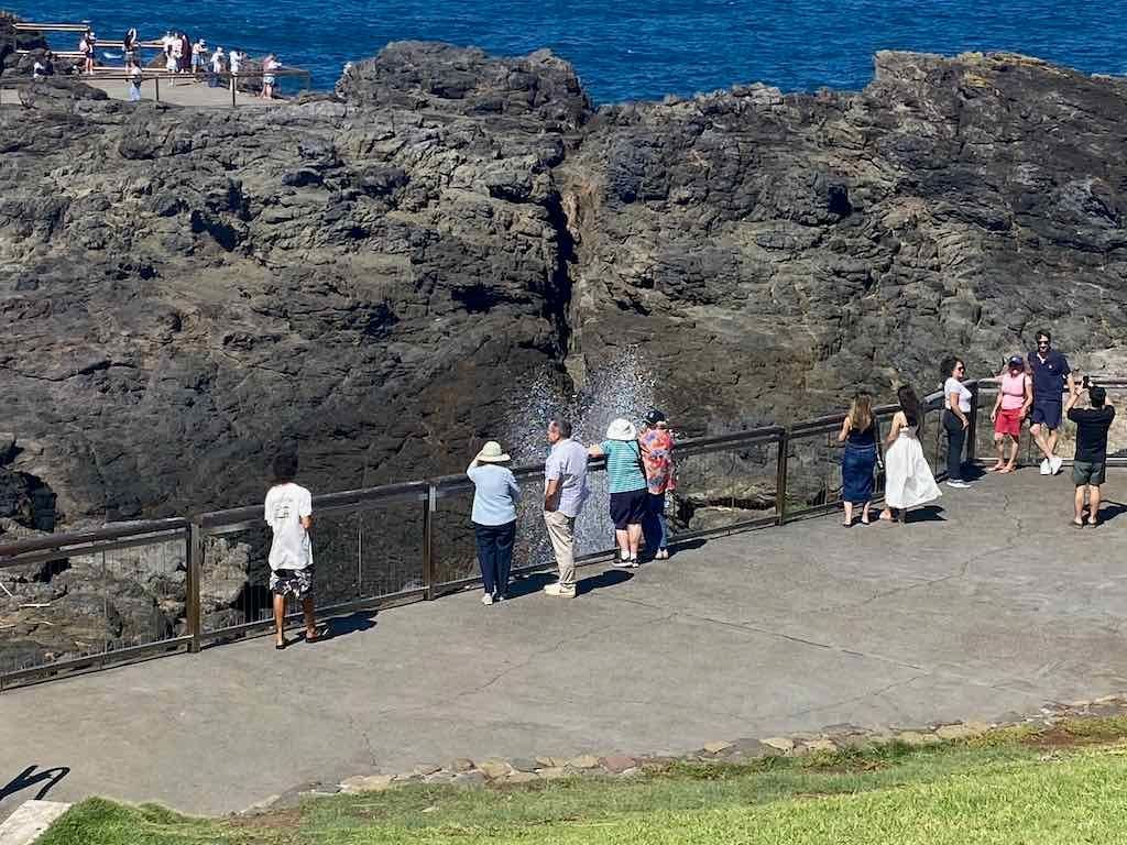 Wollongong Explorer March 2026 Image -69b4d45b8ff31