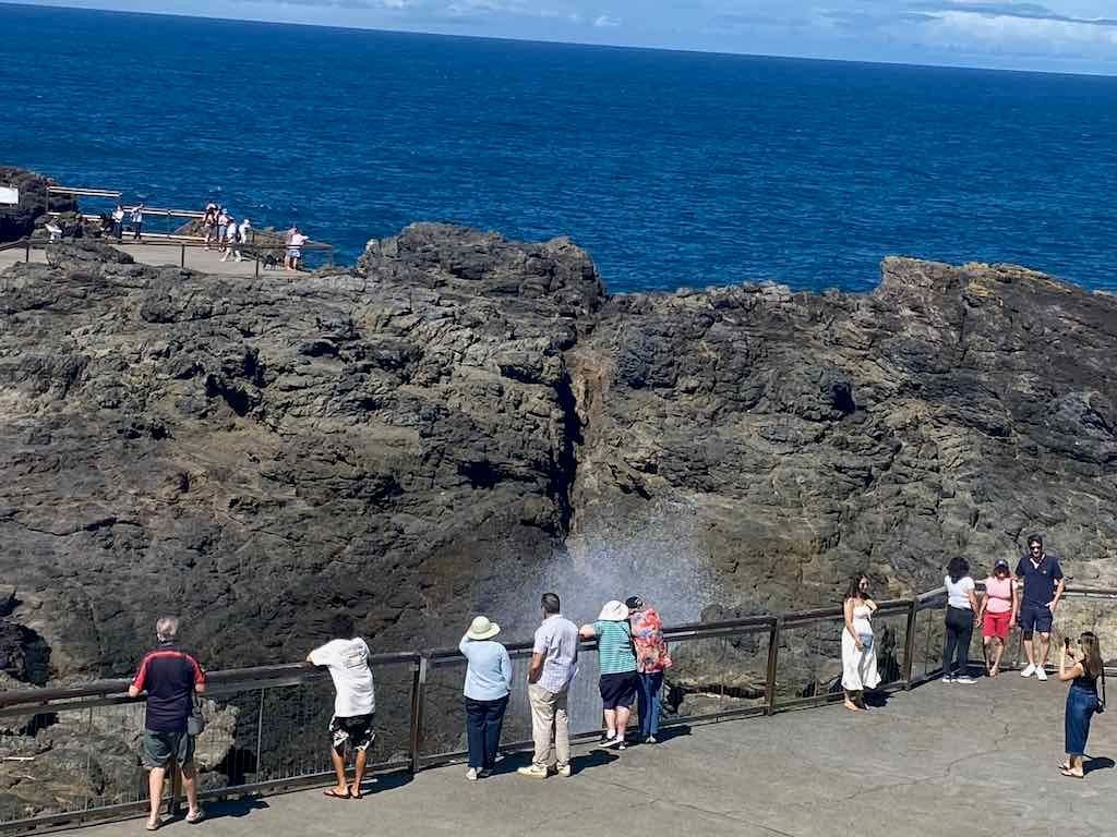 Wollongong Explorer March 2026 Image -69b4d45be2ca8