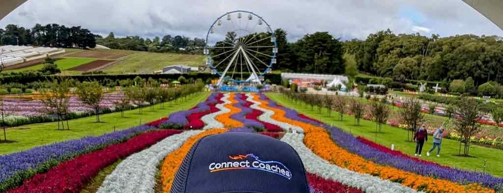 Melbourne Garden Show : 2026 Image -69d9c0ee15b51