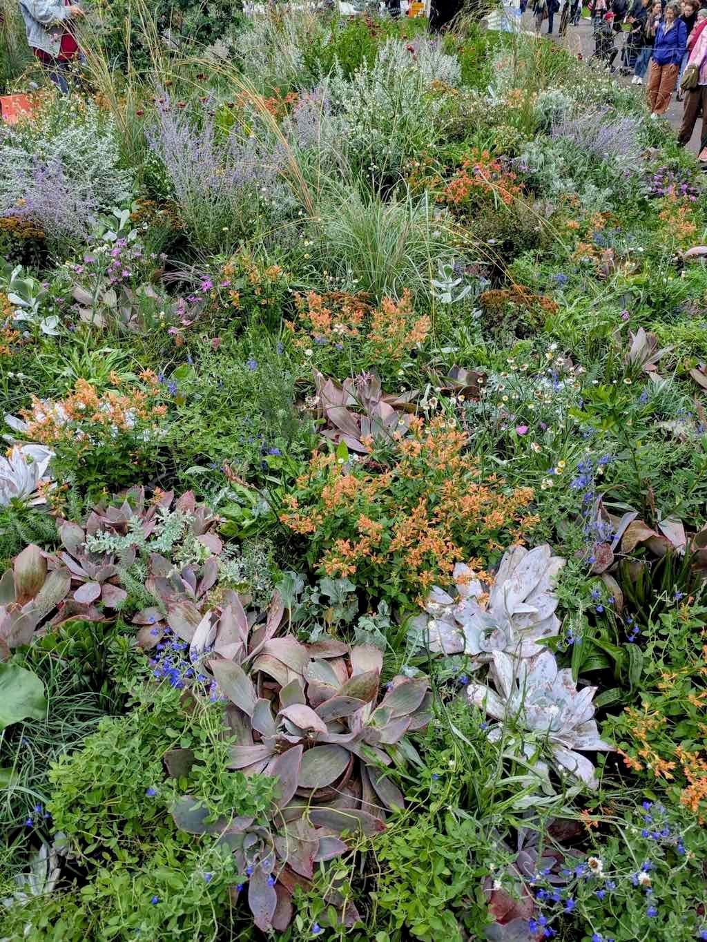 Melbourne Garden Show : 2026 Image -69d9c0f8bbdb4